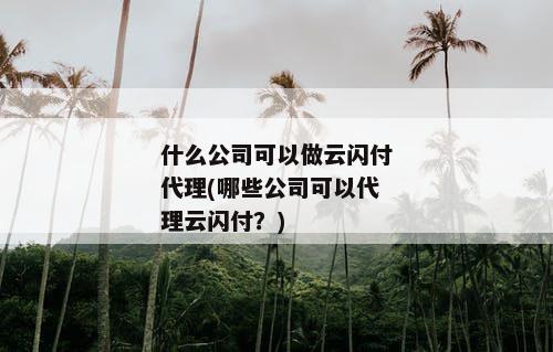 什么公司可以做云闪付代理(哪些公司可以代理云闪付？)