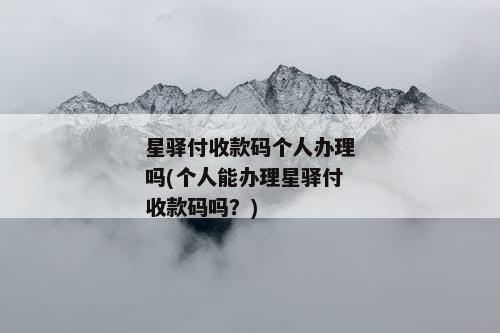 星驿付收款码个人办理吗(个人能办理星驿付收款码吗？)