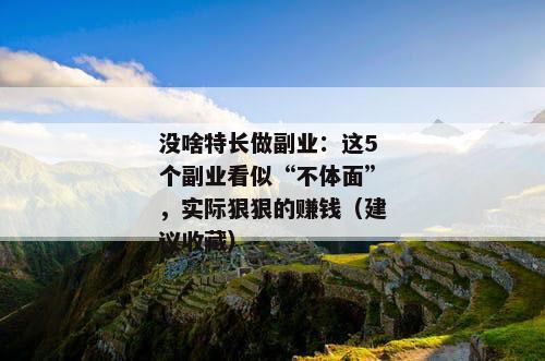 没啥特长做副业：这5个副业看似“不体面”，实际狠狠的赚钱（建议收藏）