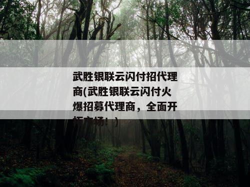 武胜银联云闪付招代理商(武胜银联云闪付火爆招募代理商，全面开拓市场！)