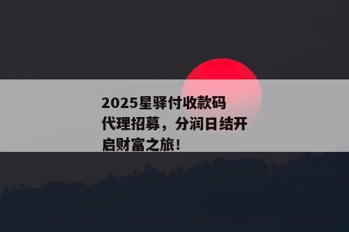 2025星驿付收款码代理招募，分润日结开启财富之旅！